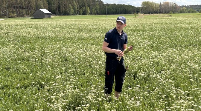 Sisu i det finska jordbruket